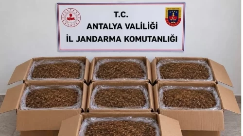 Antalya’da kaçak tütün operasyonu: 210 kilogram ele geçirildi