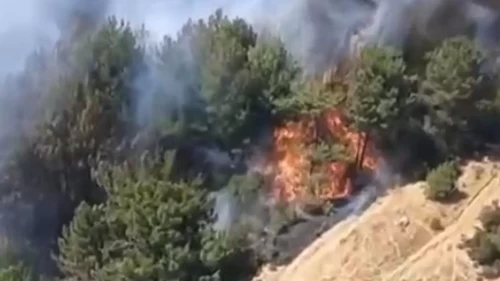 Balıkesir'de arazide başlayan yangın ormana sıçradı!