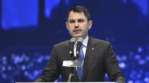 Deniz çayırları yeniden güçlendiriliyor