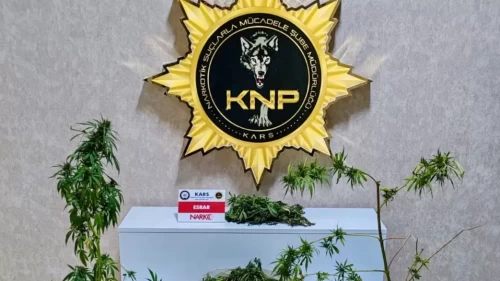 Kars’ta narkotik baskını: 1 gözaltı