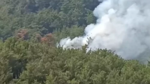 Adana Kozan’da orman yangını çıktı: Ekipler seferber oldu