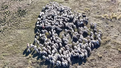 Tunceli'de aylık 150 bin TL maaşa çalışan bulamıyorlar!