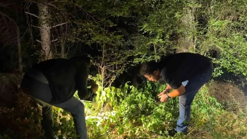 Tarım arazisinde çalışırken yerde buldu!
