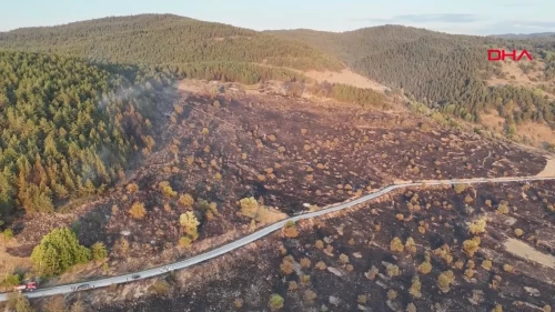 Bolu Gerede'de orman yangını 3 saatte kontrol altına alındı