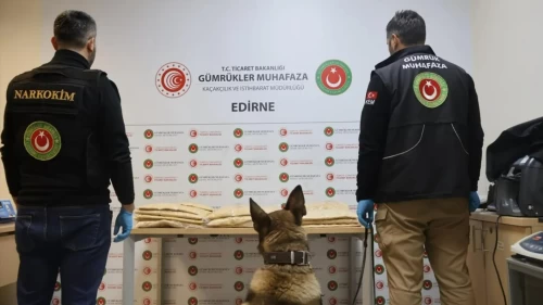 Kapıkule'de büyük operasyon! Tırdan 50 kilo uyuşturucu çıktı