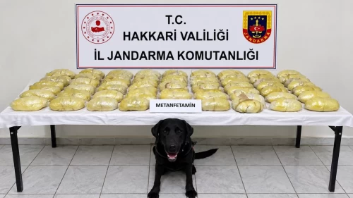 Hakkâri’de durdurulan TIR’dan 44 paket çıktı: Tam 21 kilo 700 gram