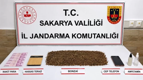 Sakarya’da sokak satıcılarına jandarma baskını