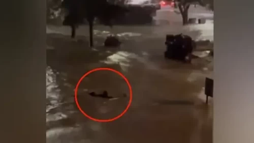 Sarıyer’de akıntıya kapılan kişi hayatta kalmak için yüzdü