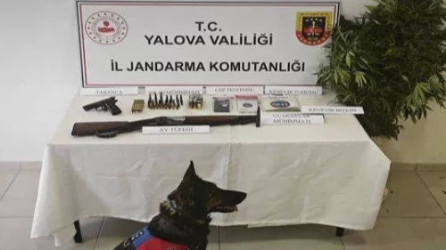 Yalova’da kenevir aramasından uçaksavar mühimmatı çıktı