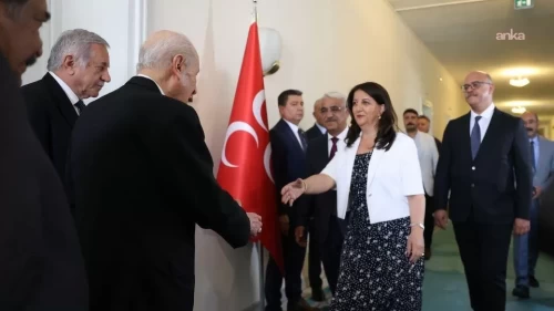 MHP Lideri Bahçeli, Dem Parti heyetini kabul etti