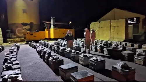 Canlı arı kovanlarından kilolarca uyuşturucu çıktı!