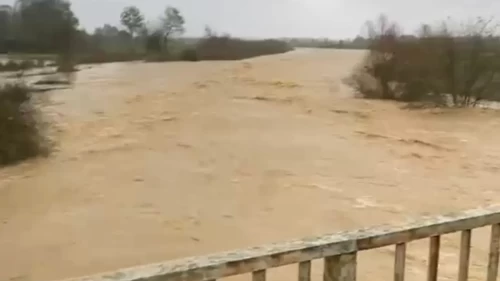 Sakarya’da çiftçilerin emeği sulara gömüldü!