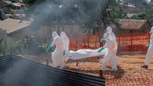 DSÖ'den Ebola alarmı