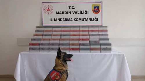 Mardin’de milyonluk kaçakçılık operasyonları