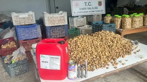 İzmir’de gıda skandalı! Yakalanmasalardı kimyasallarla beyazlatılmış 3 ton inciri insanlara yedireceklerdi