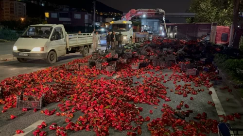 Kamyon devrildi, yol biber tarlasına döndü!