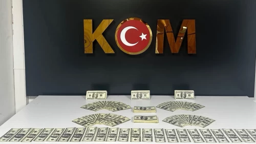 Bodrum'da 46 bin 200 sahte dolar ele geçirildi