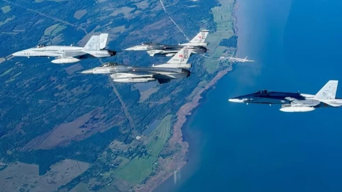 NATO müttefiki Estonya'dan Türkçe mesaj: Teşekkürler Türkiye