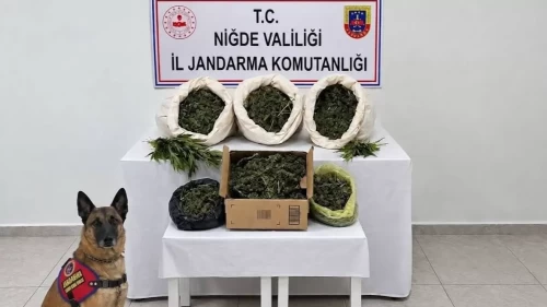 Niğde’de ev aramalarında kilolarca uyuşturucu bulundu