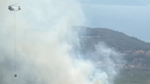 Bodrum'da korkutan orman yangını! Ekipler seferber oldu