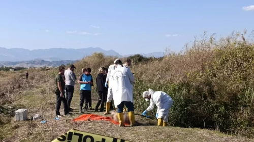 Derede çürümüş erkek cesedi bulundu!