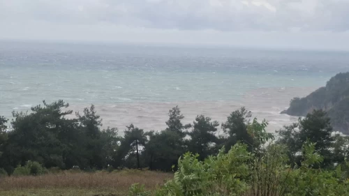 Karadeniz'in rengi kahverengiye dönüştü