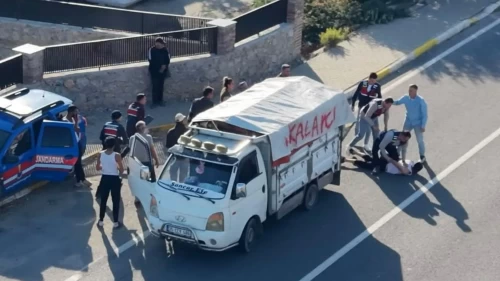 Firari hükümlünün zeytin mesaisi cezaevinde bitti!
