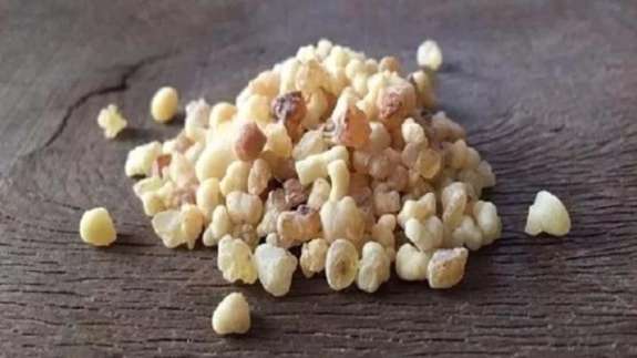 İşte iltihaba meydan okuyan bitki