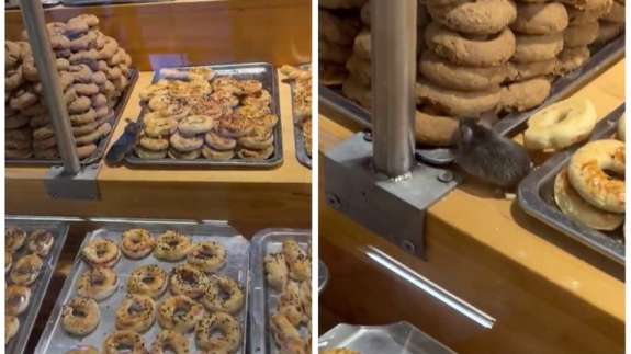 Ünlü zincir markette farenin kurabiye keyfi kamerada