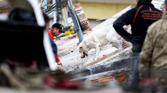 Arama kurtarma köpekleri enkaz altındaki yüzlerce cana umut oldu