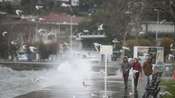 Olası Marmara depreminde İstanbul'da tsunami riski: İşte o ilçeler...
