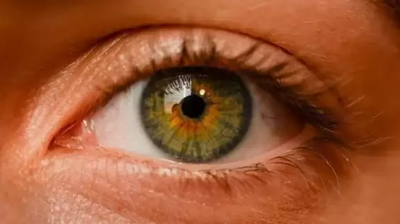 Haftada en az iki öğün balık tüketince bakın ne oluyor