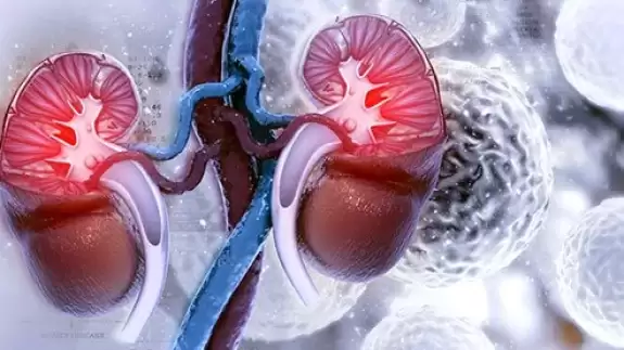 Böbreğinizin çürümeye başladığını gösteren ilk işaret! Basit bir üşütme sanılıp ihmal ediliyor