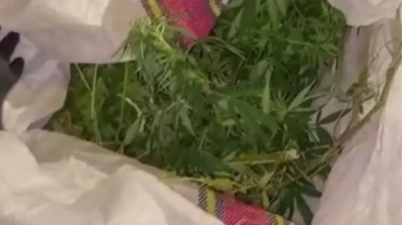 Malatya'da torbacı operasyonu: 11 kişi tutuklandı