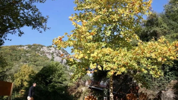 Ballıkayalar Kanyonu’nda sonbahar büyüsü