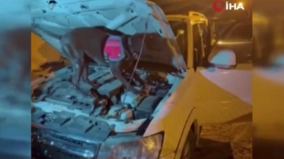 Van’da uyuşturucu ve kaçak malzeme operasyonu: 4 kilo skunk ele geçirildi