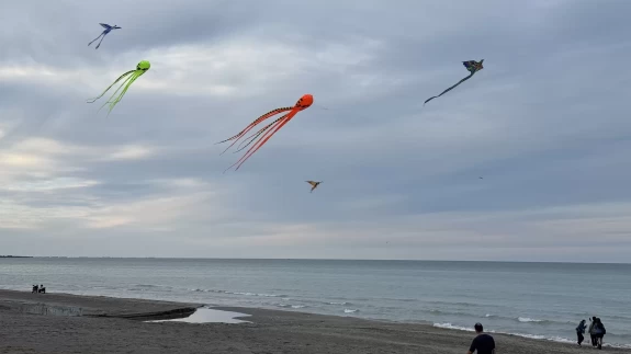 Samsun'un semalarını uçurtmalar renklendirdi