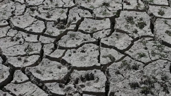 Kayseri’de Bahçelik Barajı alarm veriyor: Su seviyesi 4 ayda yüzde 60 düştü