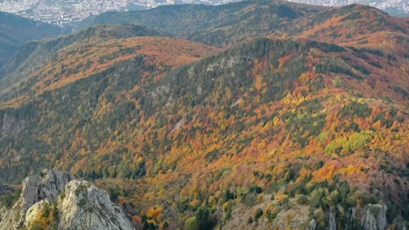 Uludağ'da sonbahar rengarenk görsel şölen sunuyor