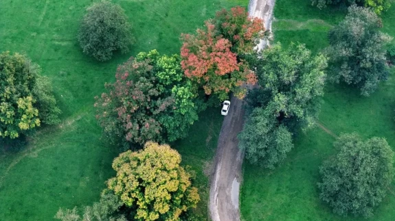 Efteni Gölü’nde sonbahar tüm güzelliğiyle sahnede