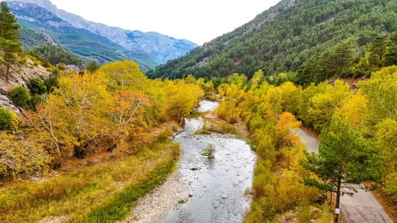 Belemedik Tabiat Parkı sonbaharın renklerine büründü