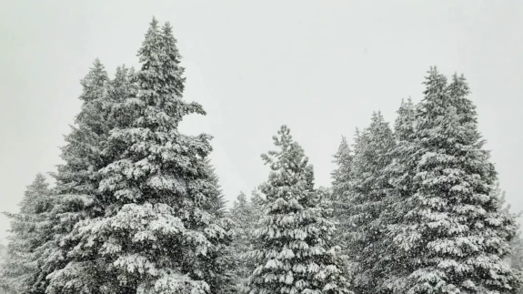 Türkiye’nin yüksek kesimlerinde kar etkili: Beyaz örtü geniş alanları kapladı