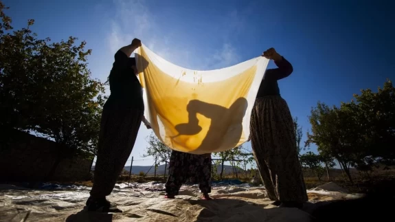 Mardin’de bağ bozumu geleneği sürüyor