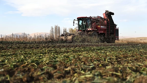 Bayburt'ta şeker pancarı üretim alanı 5 yılda 6 kat arttı