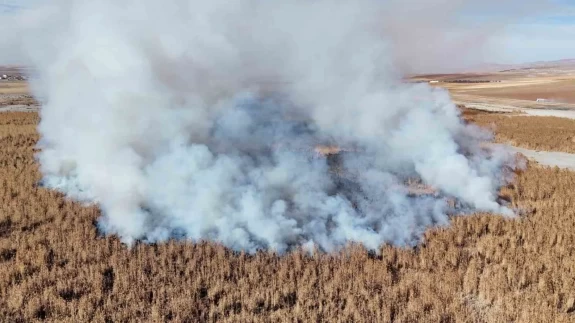 Gökgöl’de sazlık yangını: Alevler havadan görüntülendi