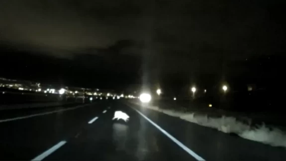 Kar yağışının etkili olduğu Kars'ta kurtlar şehre indi