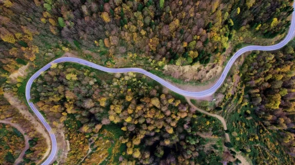 Sonbaharda Çam Dağı'nda renk cümbüşü: Doğanın görsel şöleni