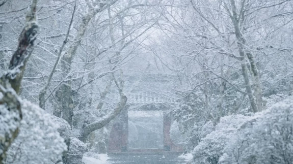 Türkiye’nin bazı yüksek kesimleri kar beyaza büründü