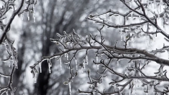 Meteoroloji uyardı: İstanbul’dan Doğu Anadolu’ya şiddetli yağış geliyor!