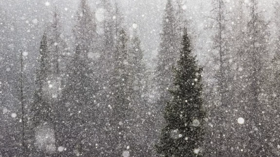 Dikkat! Türkiye’de hava durumu alarmı: Şiddetli yağış ve kar geliyor!